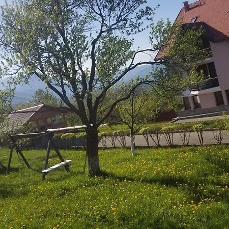 Hotel Sofia Bran  Dış mekan fotoğraf