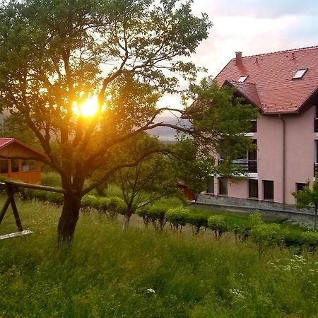 Hotel Sofia Bran  Dış mekan fotoğraf