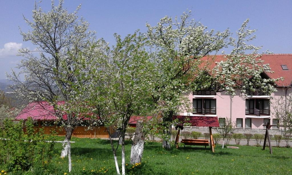 Hotel Sofia Bran  Dış mekan fotoğraf